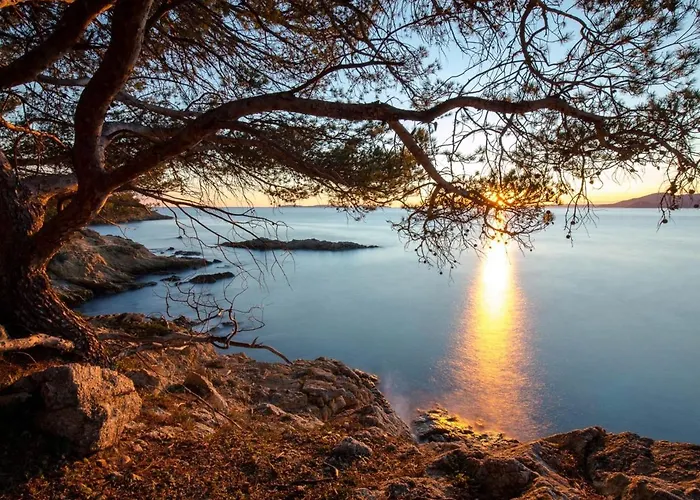 Climatise Pour 2, Proche Et Commerces, Animaux Admis, Wifi, Parking - Fr-1-466a-20 * Saint-Raphaël